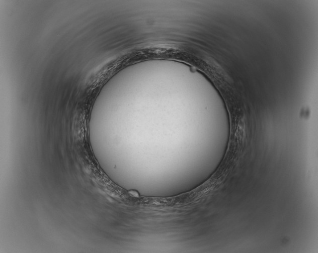 X0000115291014200911161629