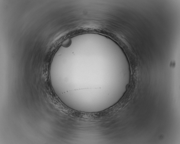 X0000115291015200911161629