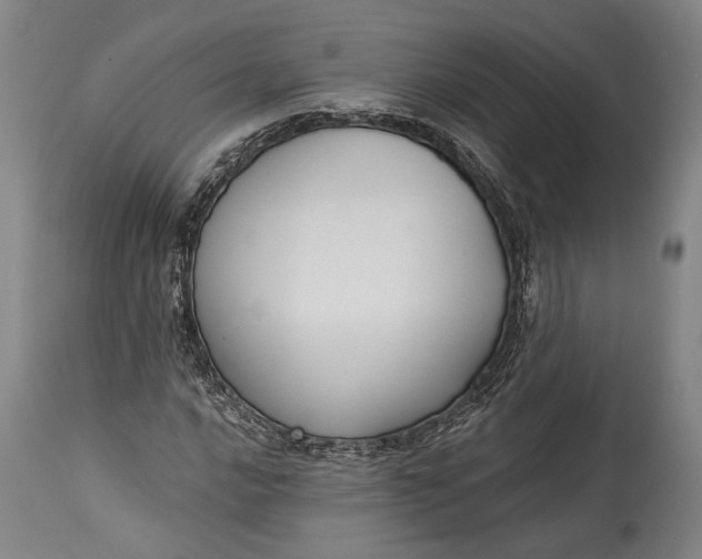X0000115291016200911161629