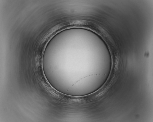 X0000115291017200911161629