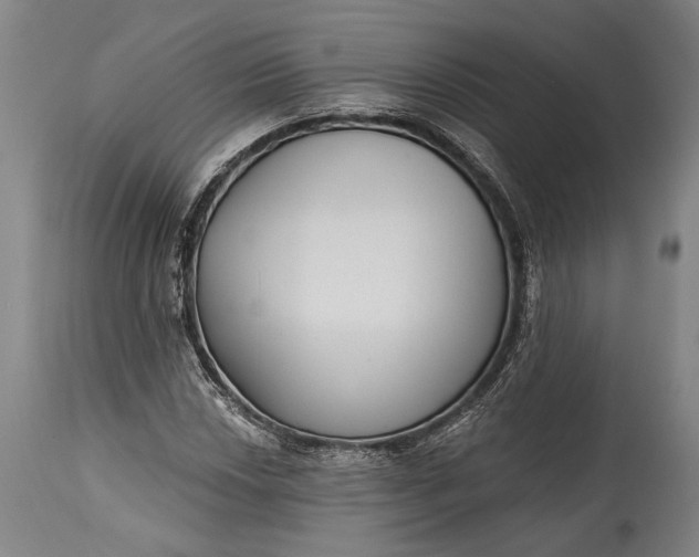 X0000115291018200911161629