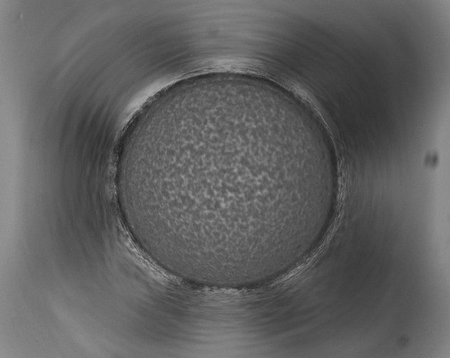 X0000115291019200911161629