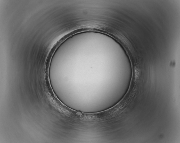 X0000115291020200911161629