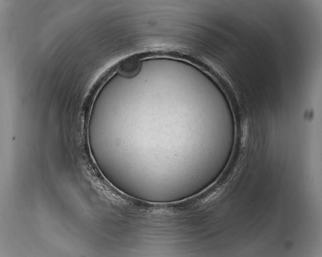 X0000115291021200911161629