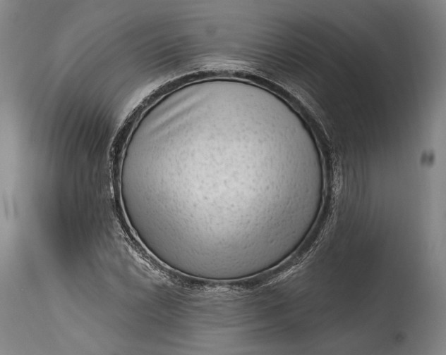 X0000115291022200911161629