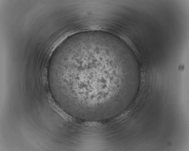 X0000115291023200911161629