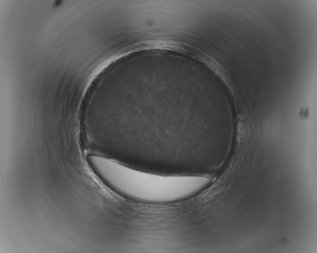 X0000115291024200911161629
