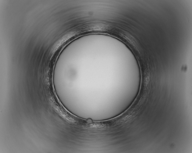 X0000115291026200911161629