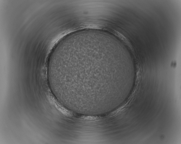 X0000115291027200911161629