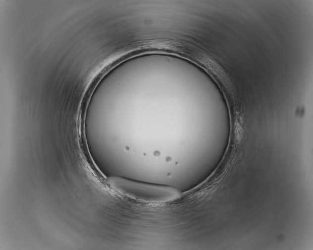X0000115291028200911161629