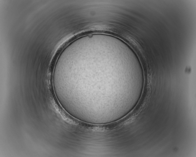 X0000115291029200911161629