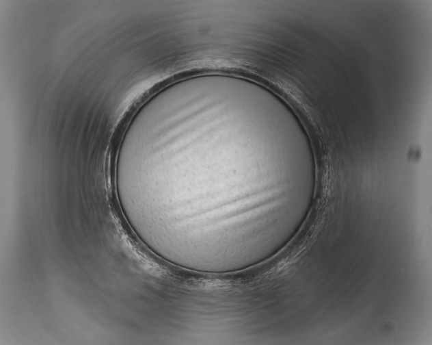 X0000115291030200911161629