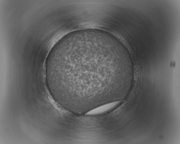 X0000115291031200911161629