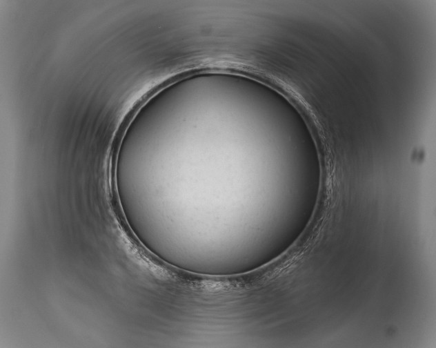 X0000115291032200911161629