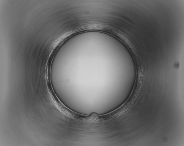 X0000115291034200911161629