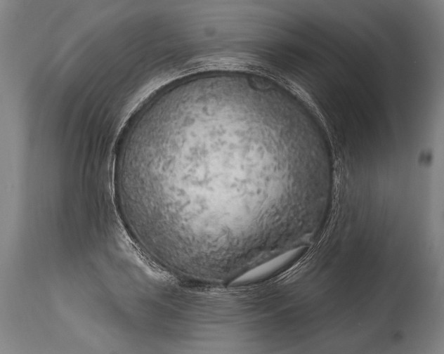 X0000115291035200911161629