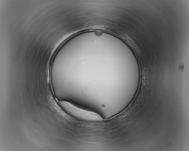 X0000115291036200911161629