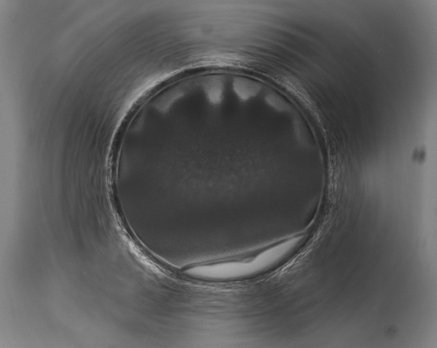 X0000115291037200911161629
