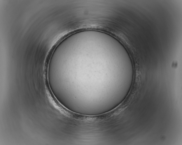 X0000115291038200911161629