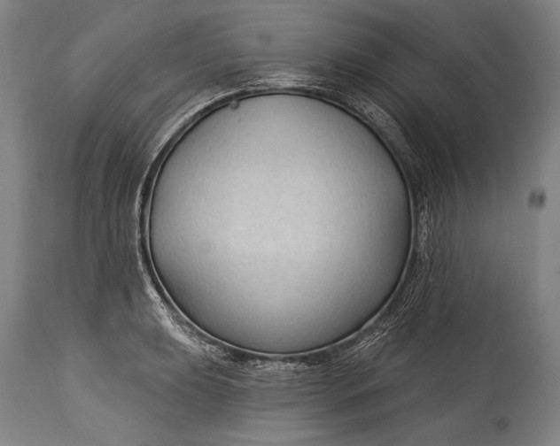 X0000115291039200911161629