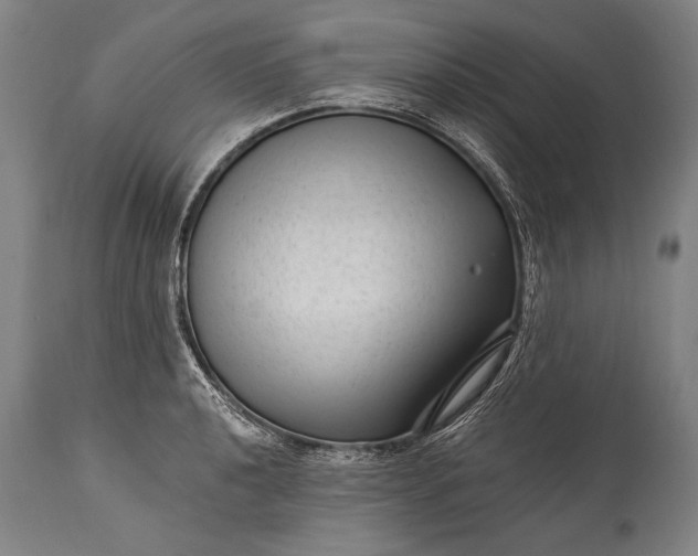 X0000115291040200911161629