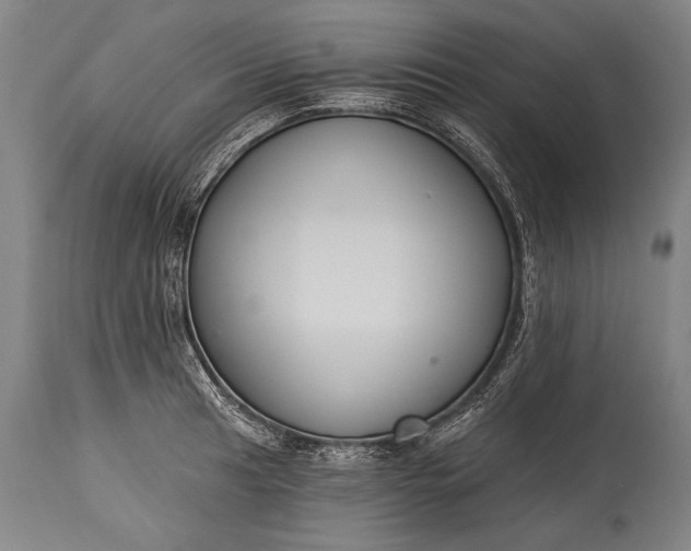 X0000115291041200911161629