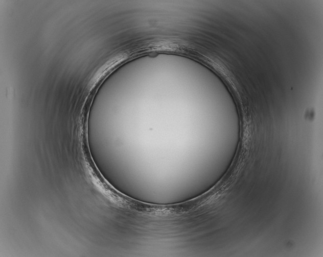 X0000115291042200911161629