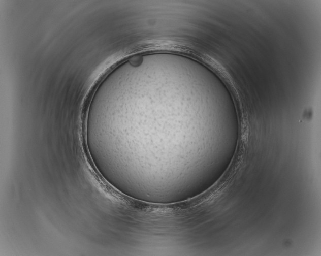 X0000115291043200911161629