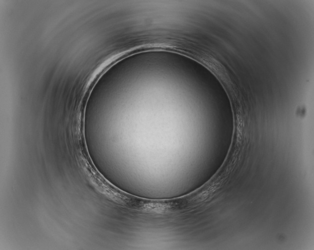 X0000115291044200911161629