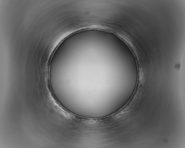 X0000115291048200911161629