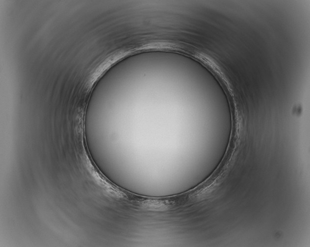 X0000115291049200911161629