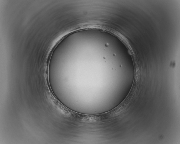 X0000115291051200911161629