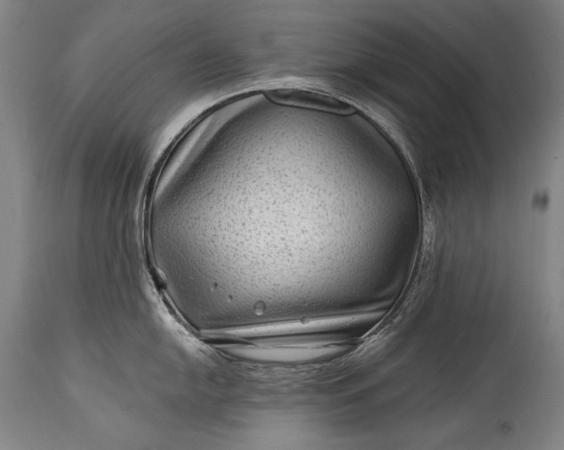 X0000115291054200911161629