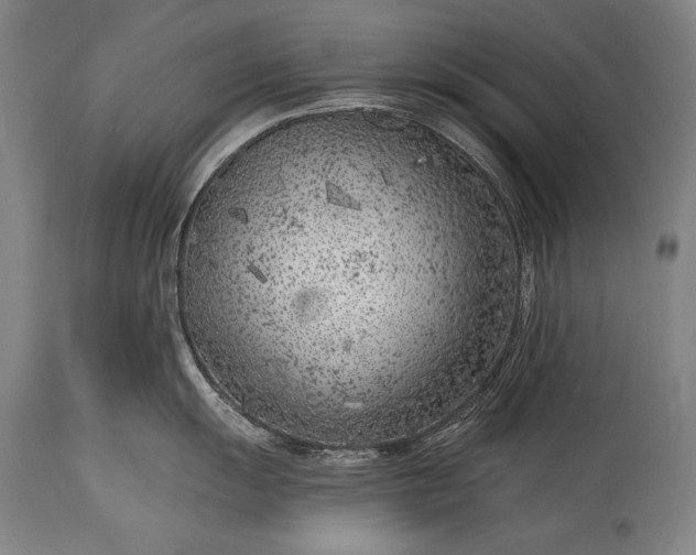 X0000115291055200911161629