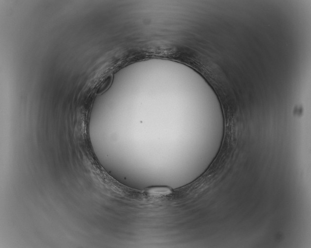 X0000115291058200911161629