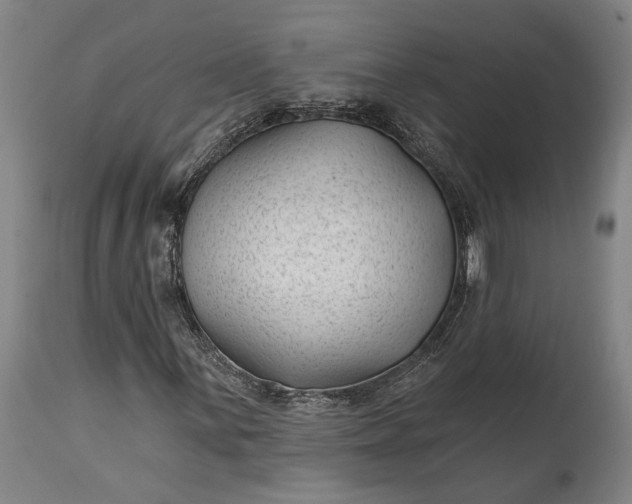 X0000115291059200911161629