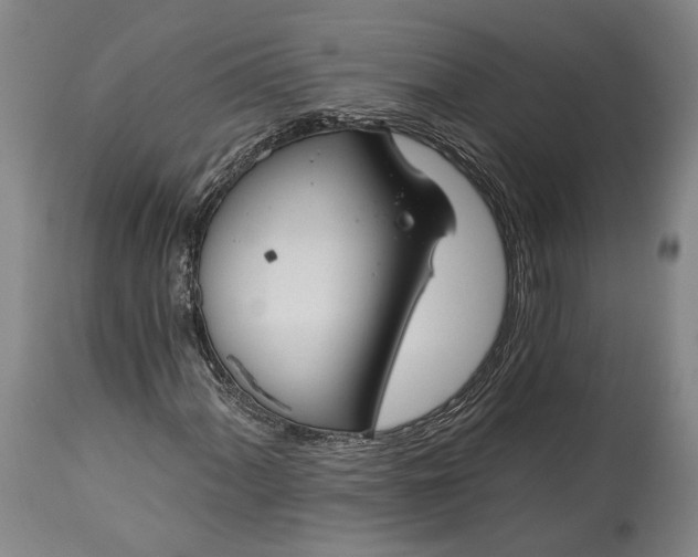 X0000115291060200911161629
