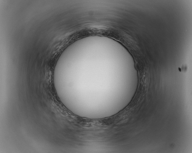 X0000115291061200911161629