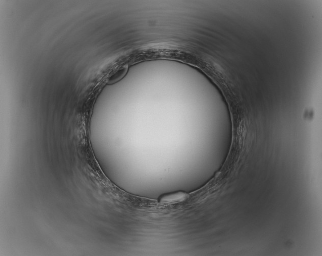 X0000115291062200911161629