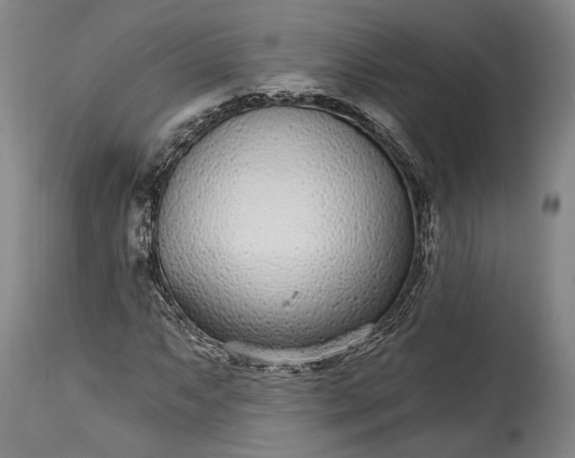 X0000115291063200911161628