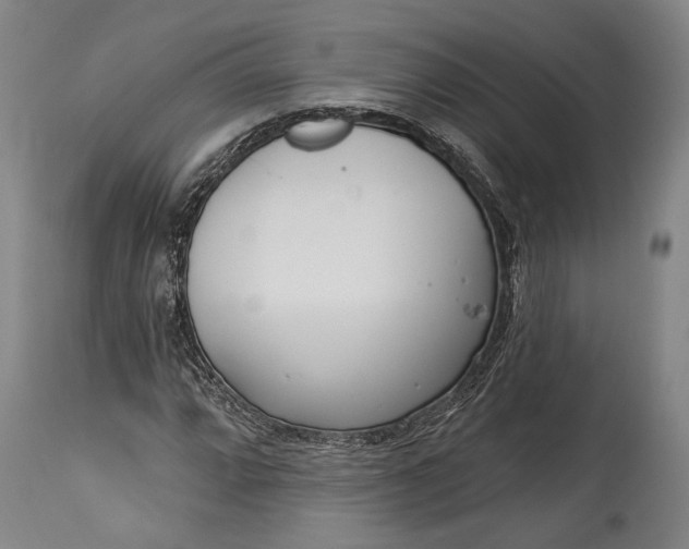 X0000115291064200911161628