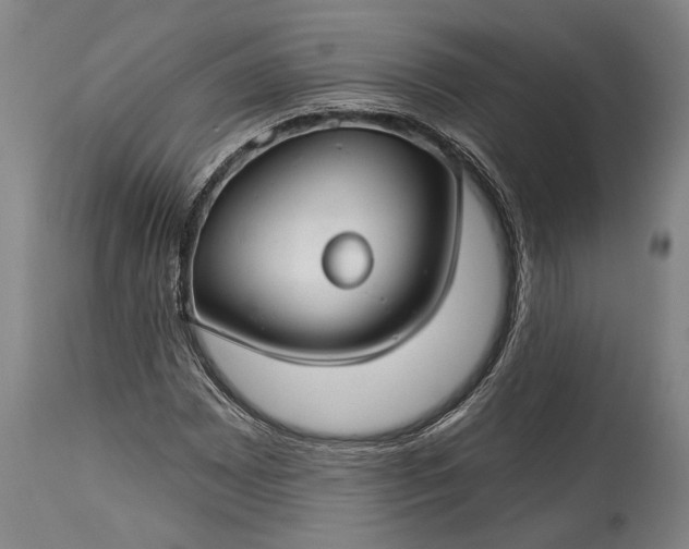 X0000115291065200911161628