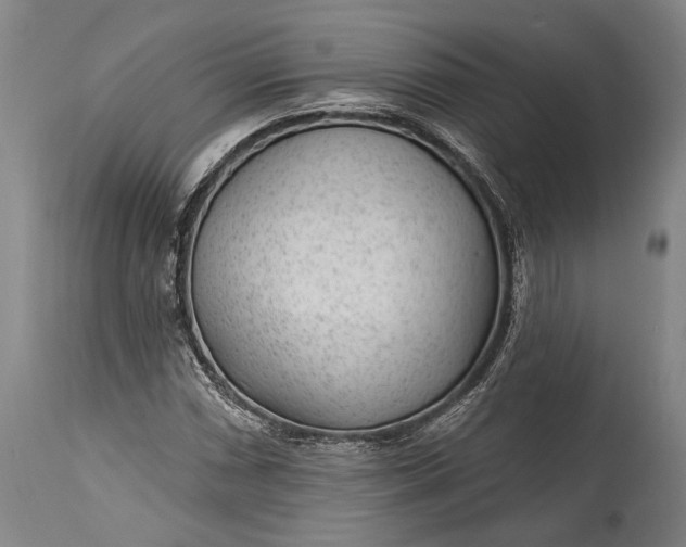 X0000115291066200911161628