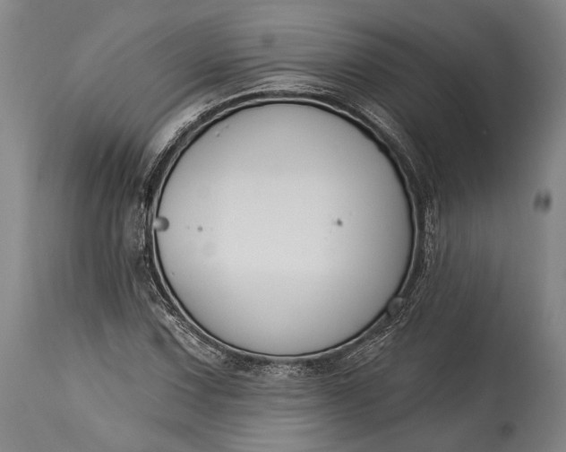 X0000115291067200911161628