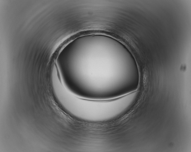 X0000115291069200911161628