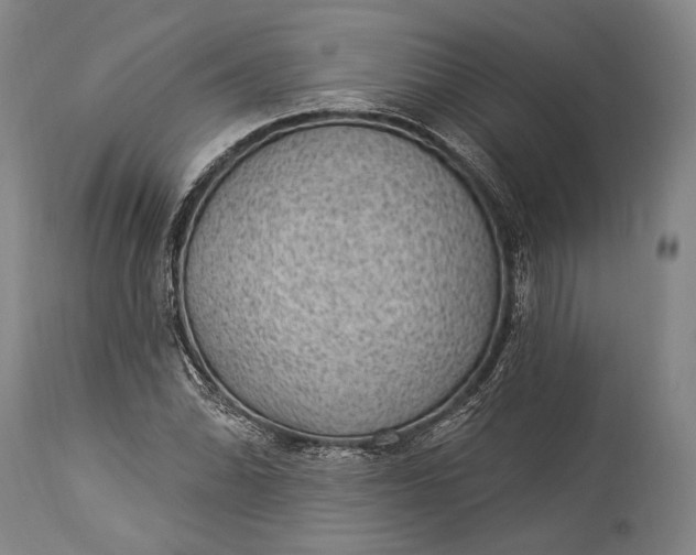 X0000115291070200911161628