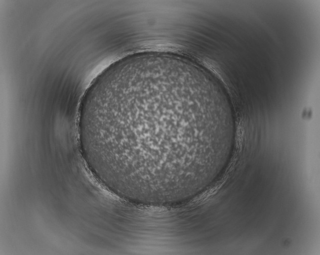 X0000115291071200911161628