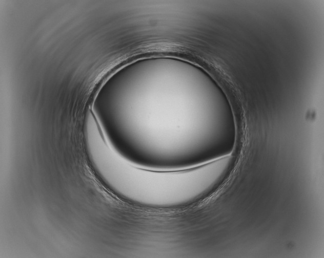 X0000115291073200911161628