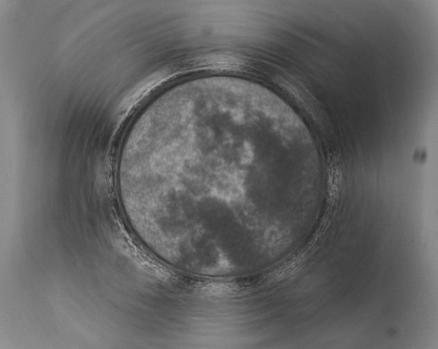 X0000115291074200911161628