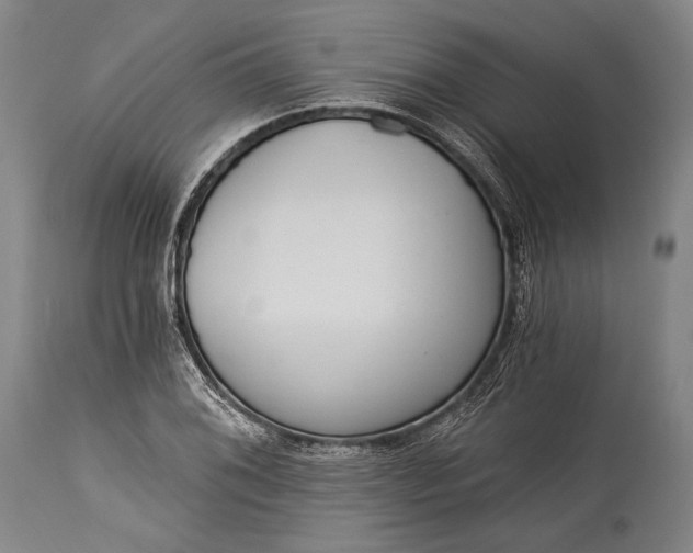X0000115291076200911161628